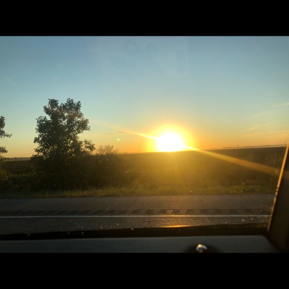 Meet your Posher, Kimber - Picture 1 of 3